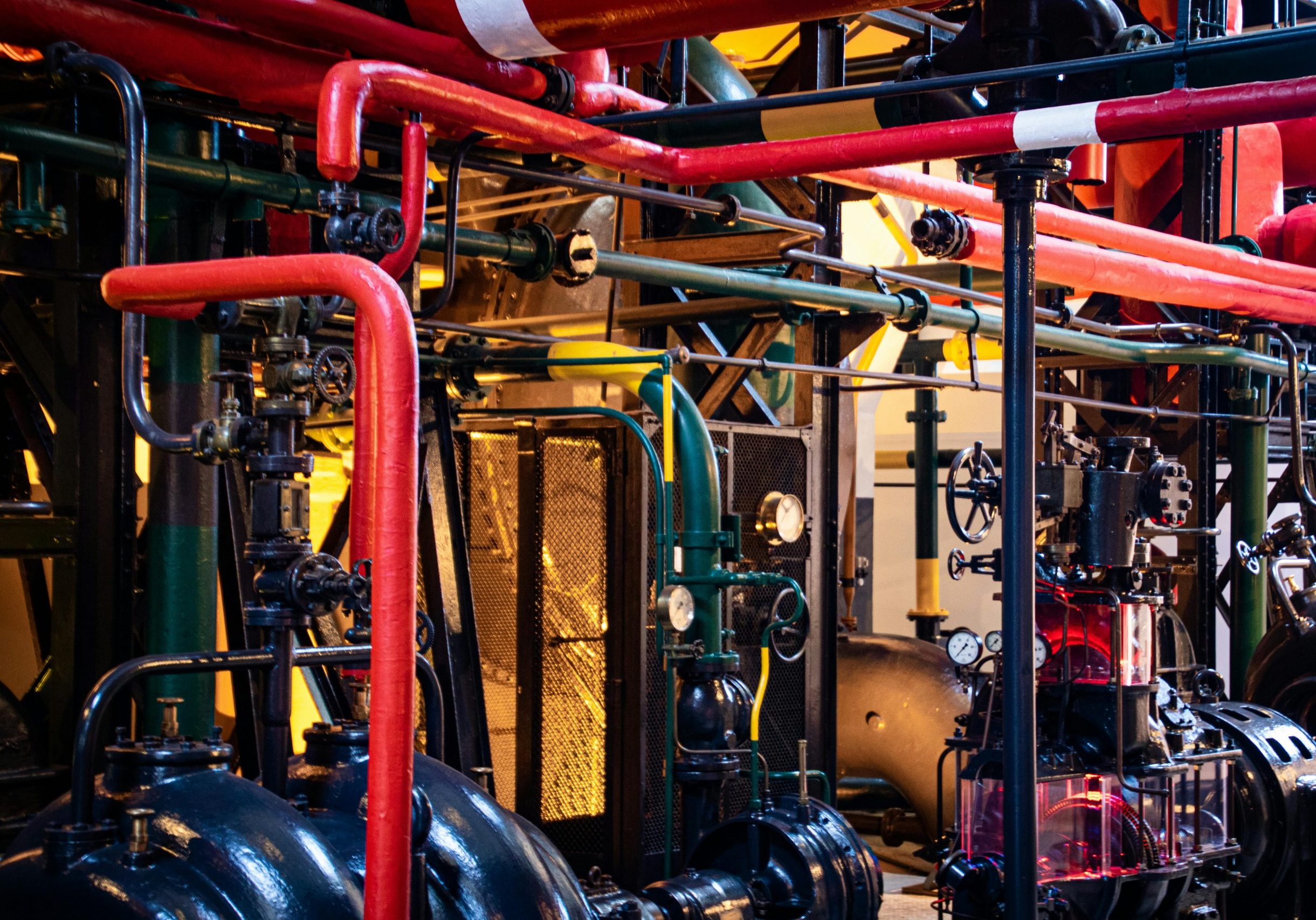 pexels-magda-ehlers-pexels-2569842